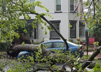 2 People Killed In Separate Incidents In Virginia After Severe Storms Swept Through Region