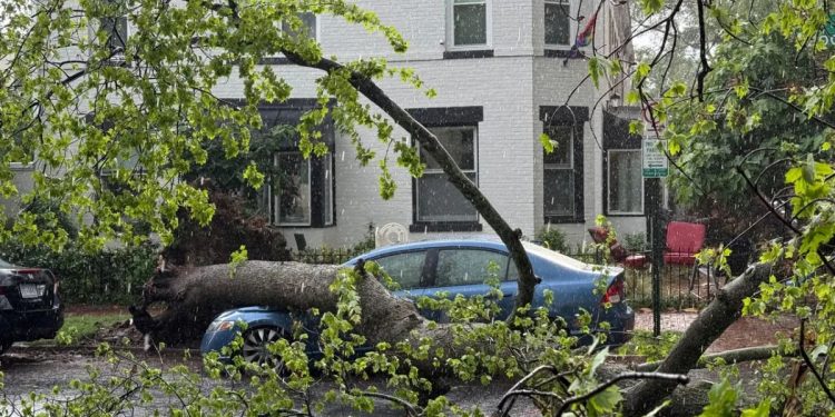 2 People Killed In Separate Incidents In Virginia After Severe Storms Swept Through Region