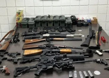 Police Seize Guns, Ammo, and AR-15 Rifles After Domestic Violence Call in Arvin