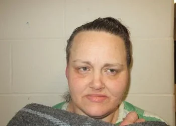 Nine Pounds of Meth Seized in Pulaski County Drug Bust