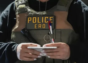 Nearly 50 Illegal Immigrants Arrested in Southeast with Cash and Firearms