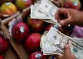 Complete List of Florida SNAP Beneficiaries Receiving Payments May 19–25, 2025