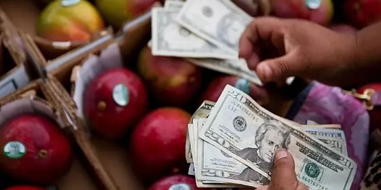 Complete List of Florida SNAP Beneficiaries Receiving Payments May 19–25, 2025