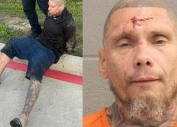Copper Theft Suspect arrested After Foot pursuit and K9 Deployment on North Freeway