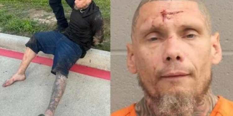 Copper Theft Suspect arrested After Foot pursuit and K9 Deployment on North Freeway