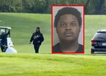 Driver Purposefully Hits 70-year-old Golfer Who Was Shouting At Him While Taking A’shortcut’ On The Course: Prosecutors
