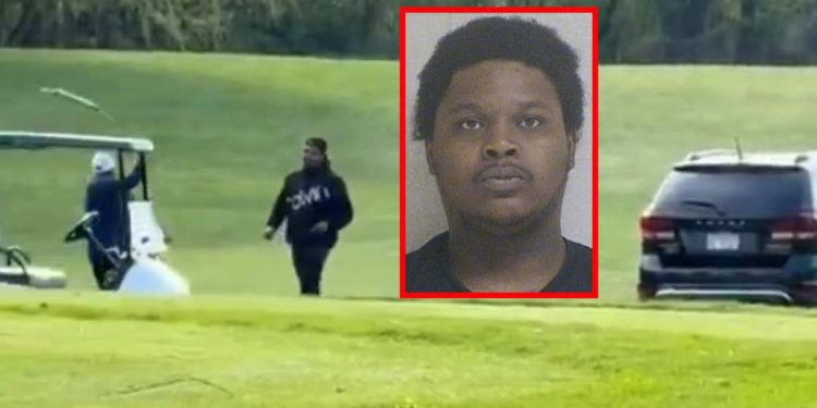 Driver Purposefully Hits 70-year-old Golfer Who Was Shouting At Him While Taking A’shortcut’ On The Course: Prosecutors