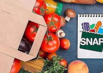 How Long Can You Receive SNAP Benefits? Key Facts About Your Food Stamps
