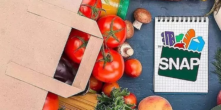 How Long Can You Receive SNAP Benefits? Key Facts About Your Food Stamps