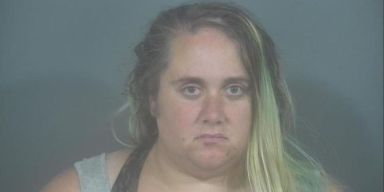 Mother Charged After Witnesses Claim She Hit Her Young Child At The Zoo Thursday