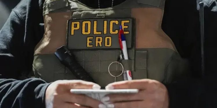 Nearly 50 Illegal Immigrants Apprehended In Southeast With Money And Firearms