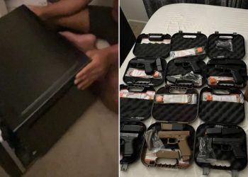 New York Woman Pleaded Guilty To Buying Weapons In Pennsylvania And Sending Them To The D.R.