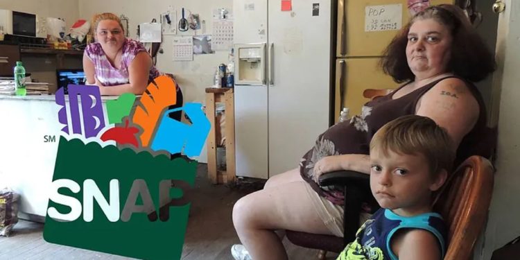 SNAP Benefits 2025: Who Qualifies and How Households Are Defined