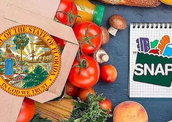 SNAP Florida Recertification May 2025: Key Dates And How To Start Your Renewal?