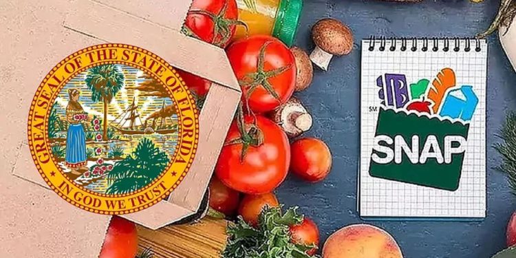 SNAP Florida Recertification May 2025: Key Dates And How To Start Your Renewal?