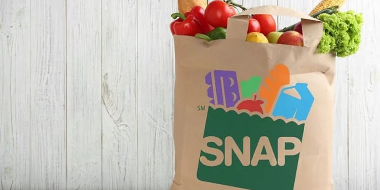 SNAP Income Limits 2025: How Much Can an Eight-Person Household Receive in Benefits?