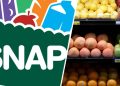 SNAP Texas Recertification May 2025: Don’t Miss the Renewal Deadline or Risk Losing Benefits