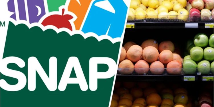 SNAP Texas Recertification May 2025: Don’t Miss the Renewal Deadline or Risk Losing Benefits