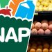 SNAP Texas Recertification May 2025: Don’t Miss the Renewal Deadline or Risk Losing Benefits