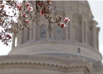 Missouri Lawmakers Pass Bill to Ban Hair-Based Discrimination in Schools