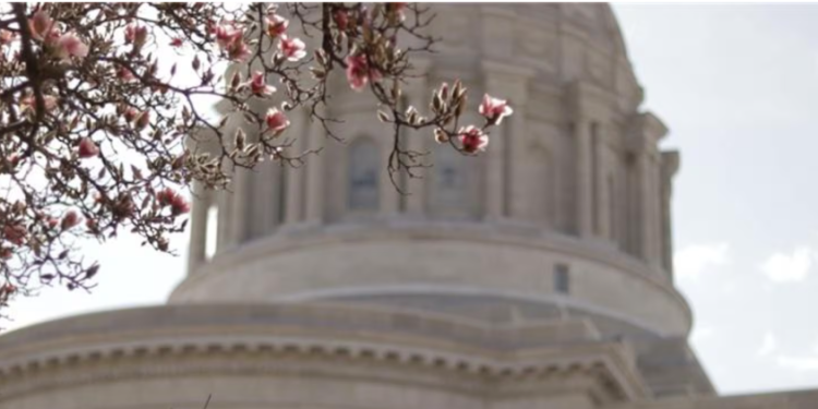 Missouri Lawmakers Pass Bill to Ban Hair-Based Discrimination in Schools