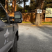Oregon Safari Park Owner Arrested After Police Raid Uncovers Drugs, Guns, and Animal Cruelty