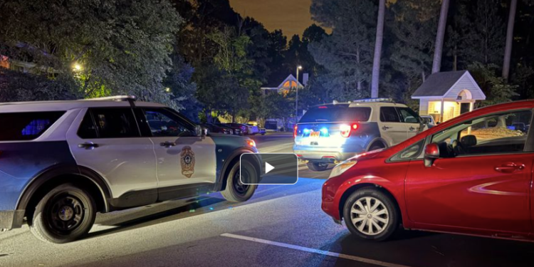 Two Arrested After Car Break-Ins at Raleigh Apartment Complex; One Suspect Still at Large