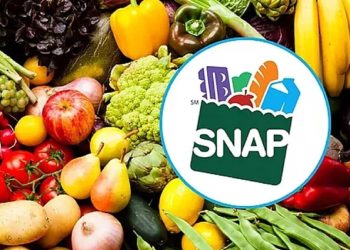 Texas SNAP Payment: Who Receives Benefits Between May 19 and 25, 2025?