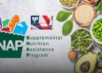 Who Is Exempt from SNAP Work Requirements? A Complete Guide to All Exclusions