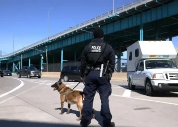 Nearly 200 Pounds of Cocaine Seized at Canada-U.S. Border in Latest Bust