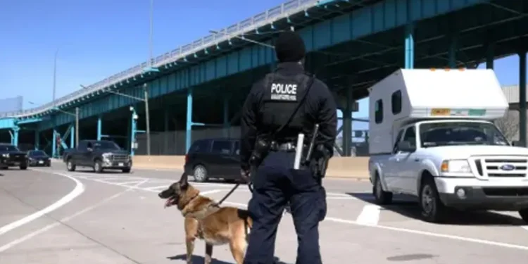 Nearly 200 Pounds of Cocaine Seized at Canada-U.S. Border in Latest Bust