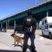 Nearly 200 Pounds of Cocaine Seized at Canada-U.S. Border in Latest Bust