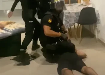 Raids Across Canary Islands Dismantle Major Cocaine Trafficking Ring