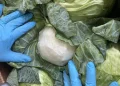 Cabbage-Stuffed Meth Scheme Lands Mexican Man 11-Year Prison Sentence