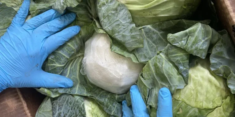 Cabbage-Stuffed Meth Scheme Lands Mexican Man 11-Year Prison Sentence