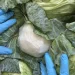Cabbage-Stuffed Meth Scheme Lands Mexican Man 11-Year Prison Sentence